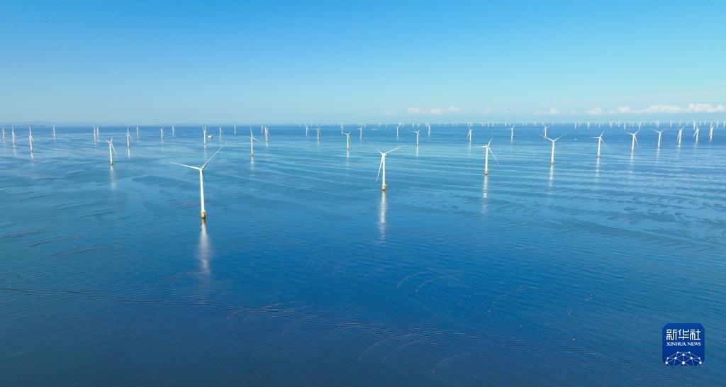 博悦地址登录测试